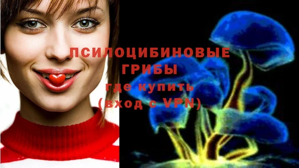 Альфа ПВП Абдулино